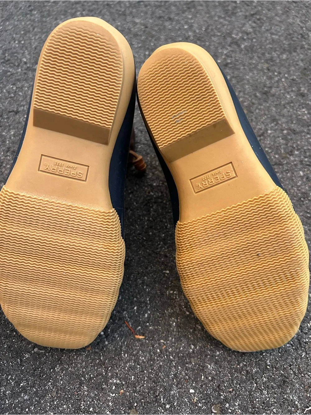 Sperry waterproof duck